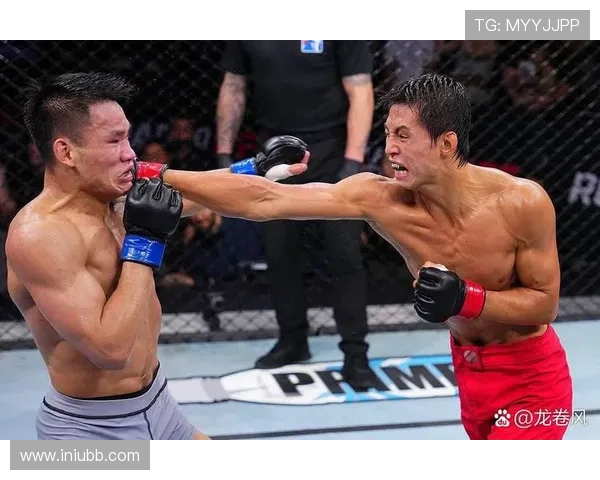 中国传统武术高手与现代搏击拳手的巅峰对决与技艺碰撞